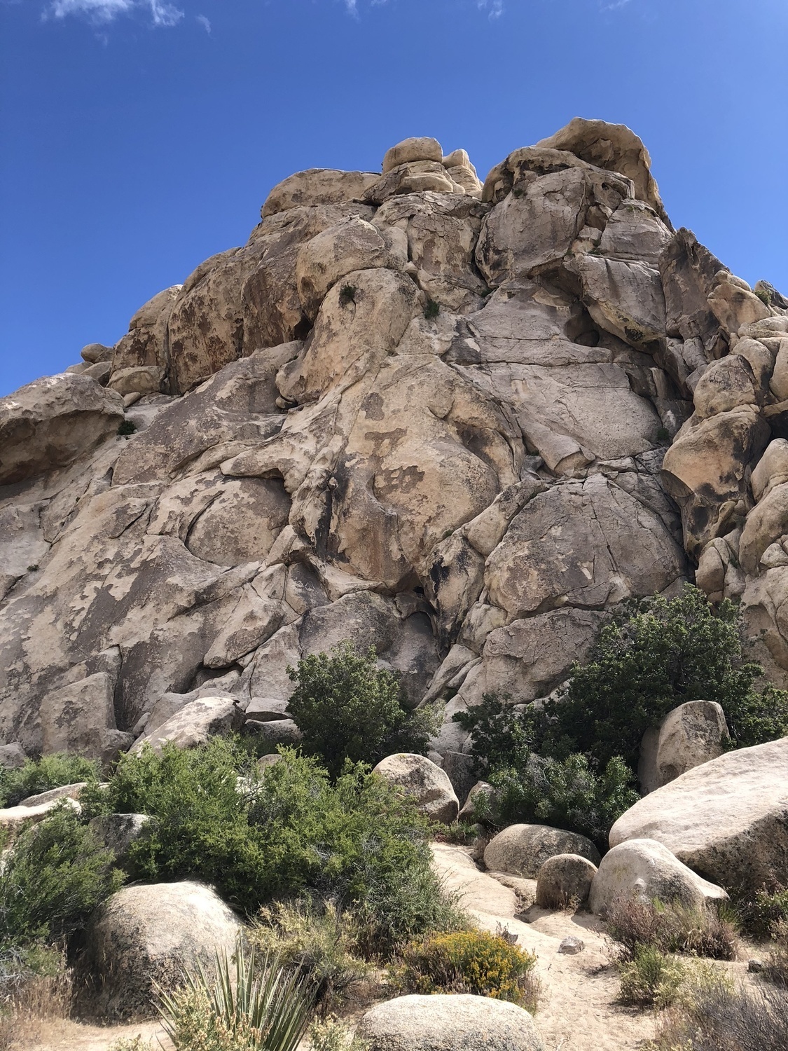 The East Face of Turtle Rock