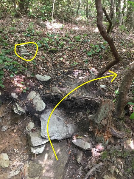 Trail to get to Main Wall and Middle Hawksbill (note cairn in upper left corner of photo)