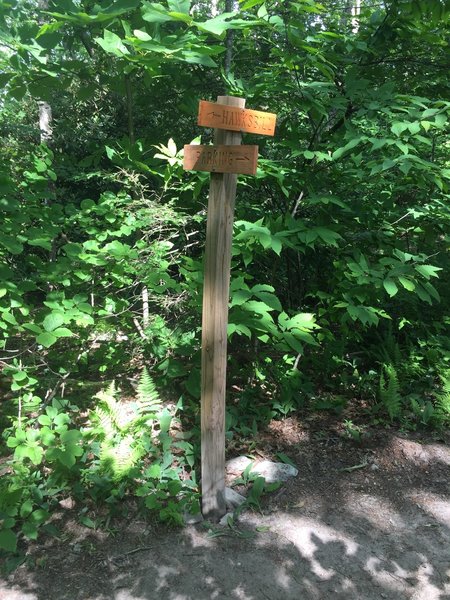 Take a left here to get to all Hawksbill walls. For Lower, take a right 30 feet up the trail from this sign.