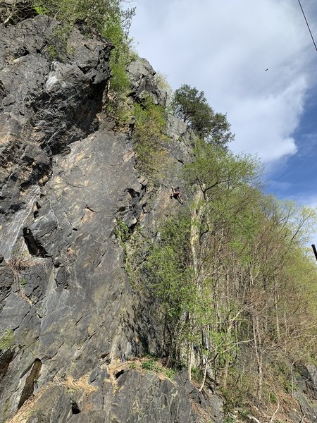 Arrampicano