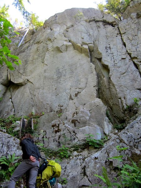 Talking Holds.