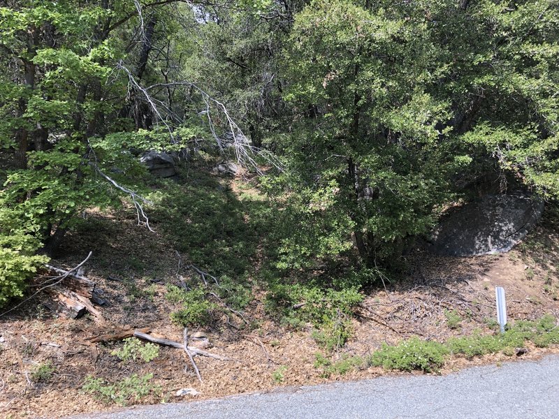 The Demon Dome trailhead. The trail is barely visible going straight uphill through the plants in the middle of the photo. It continues generally straight uphill following cairns to the dome.