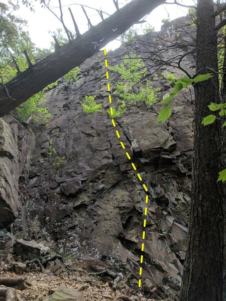 Claw marks follows the two parallel cracks in the middle of the photo