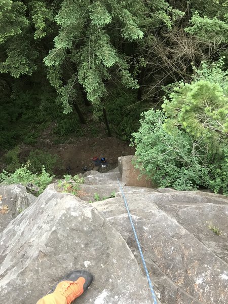 From the top