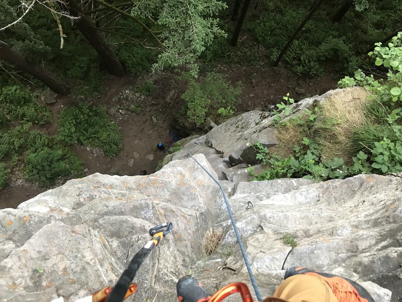 From the top