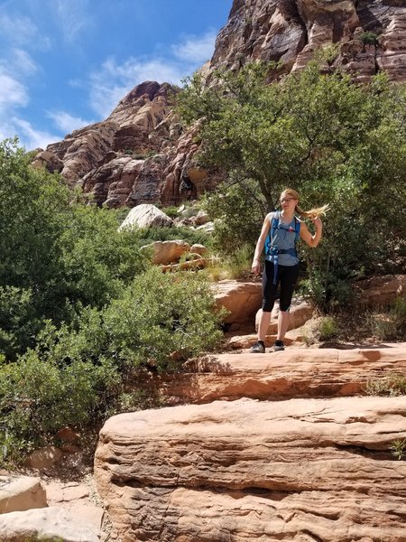 Approach: a minute after veering right from the large triangle intersection, follow through a shady tunnel of trees until you see these rocky steps. Go up this to a higher trail parallel to the creek bed. Follow until you're right in front of the climbs.