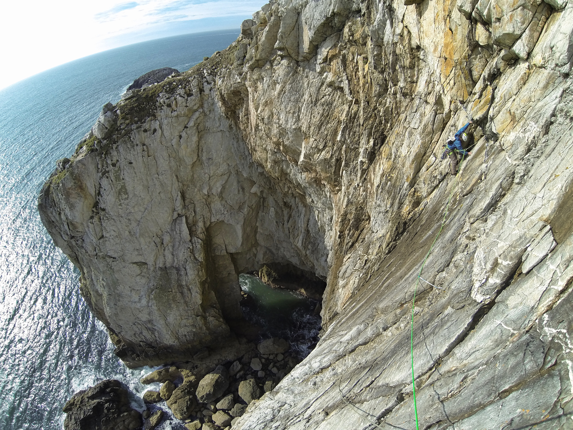 A Dream of White Horses