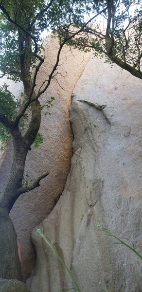 Overhung and long for woodson standards