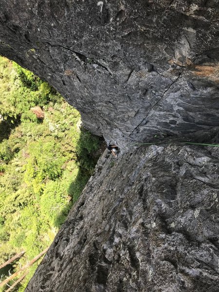 Looking down 'the book'
