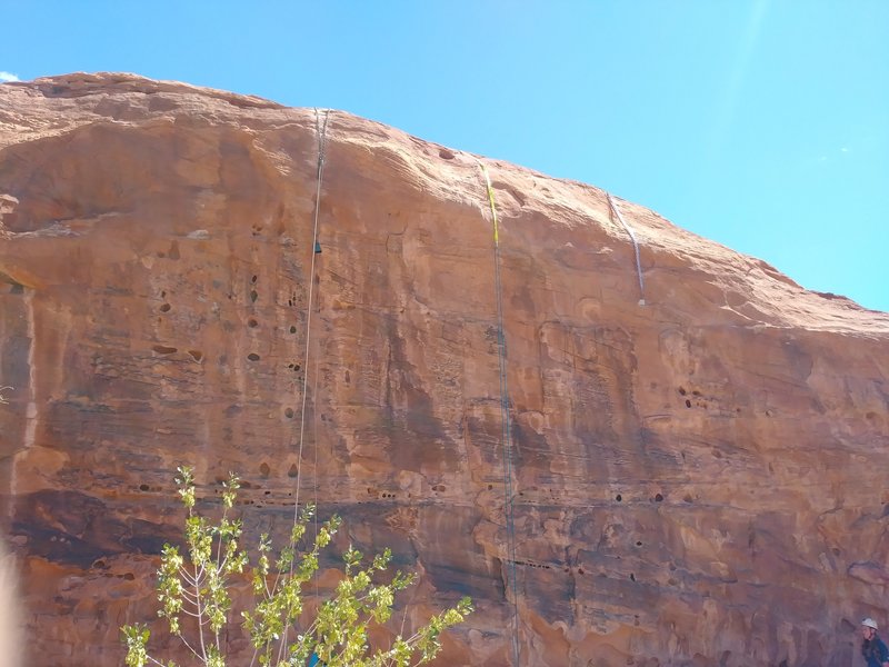 All three routes on the main wall shown with anchors set up. From left to Right, scout wall, Hercules, and Entrada.