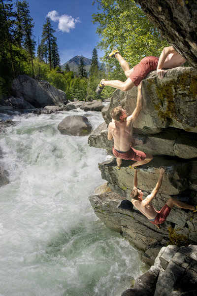 Beached whales originate in Icicle Creek