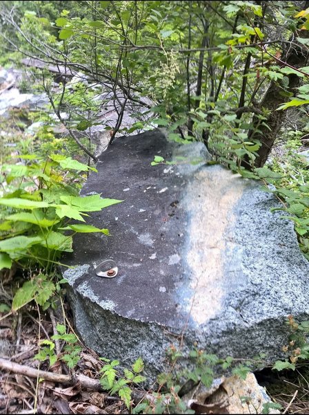 A piece of what used to be the second pitch of Abyss Behing the Gaze of Humanity