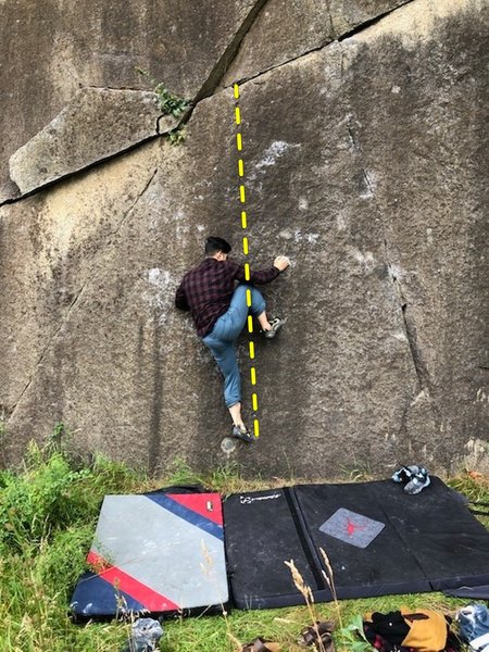 DOMinator (V4) - FA: Isaac Guevara