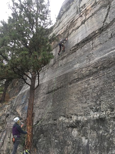 Rock Therapy!