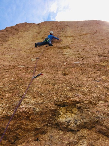 Lorna Illingworth Ide leading Westside Solitude