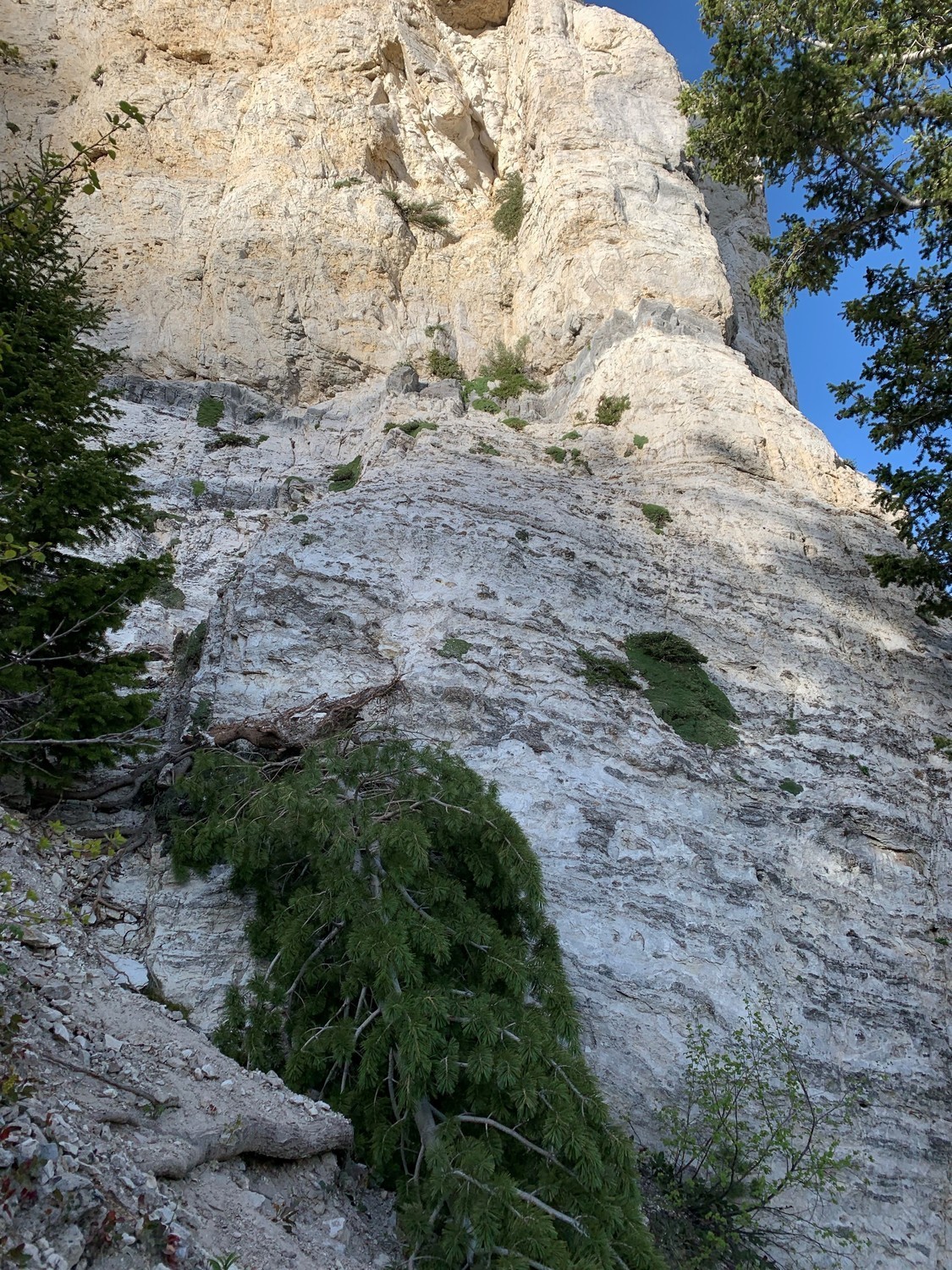 You never know what the top of the cliff has in store for you. I'd say