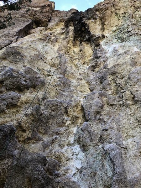 TR set up on Wannabe Llamas. Bolts to go the right of the rope - you can see one redirect draw hanging.