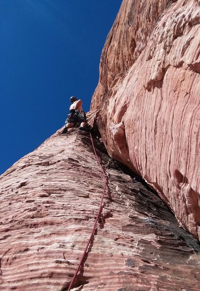 Brad Parker's first trad lead
<br>
You Are What You Eat
