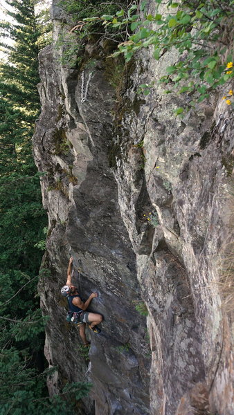 Rock Climbing in Gold Wall, Southwest Cascades