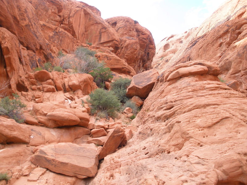 View up the gully towards: Sweet Pain, Hunter Thompson and MeetUp Wall