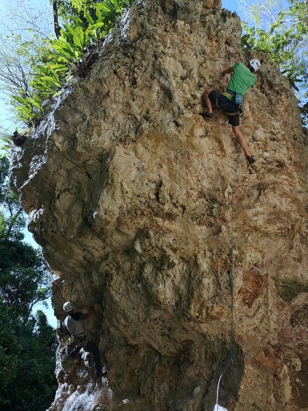 Kenny on 'Cianuro' (bottom left) and Dan on 'El Coquí Rebelde' (top right)