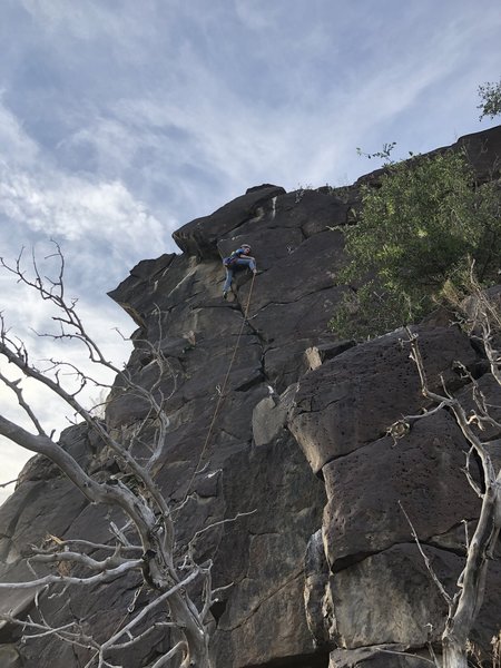 Lyra's first lead on Scour Power 5.8