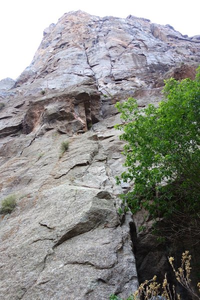 Looking up from the base of the route. Pitch 1 starts on the arete in the foreground and climbs into the corner.