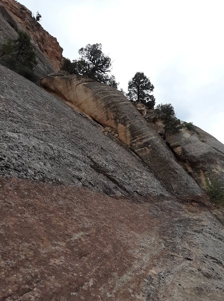The large dihedral.