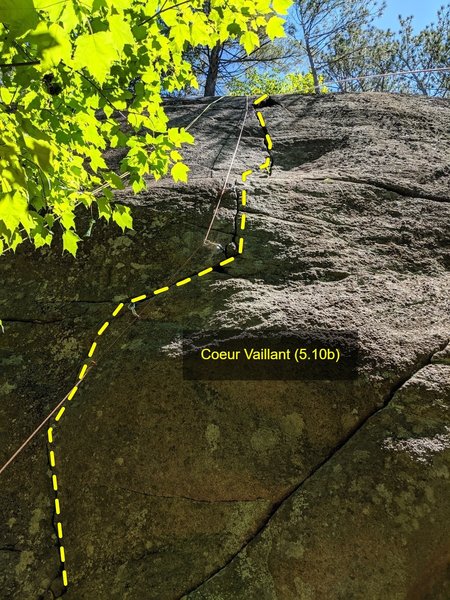 Coeur Vaillant