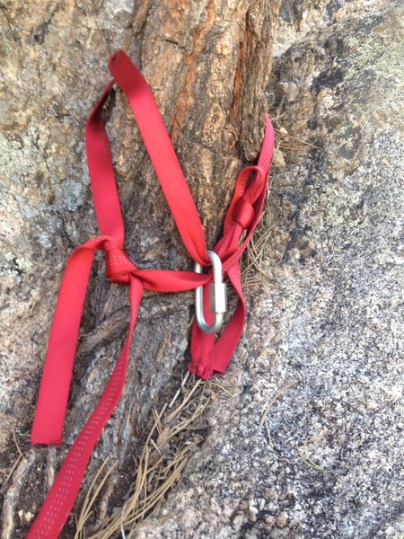 An unneeded tree anchor as you can use the bolt anchor.