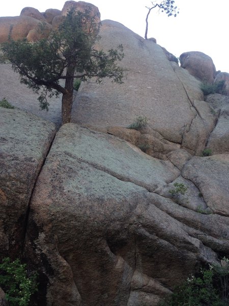The start of the climb is on the edges right of the tree.