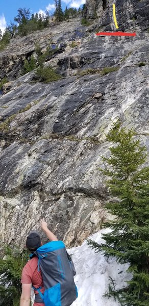 Tavern Ledge is the red line, Prosit is the yellow line.