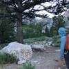 as of 7/2019, there is no turn off sign to diverge towards Little Slide Canyon. however, the path diverges in between these two larger rocks, with this pine as a decent land marker if you're having trouble. Robinson Creek is easily crossed via felled tree