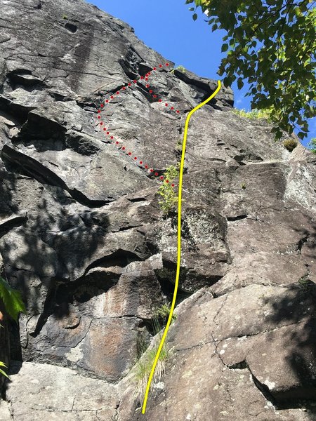yellow=standard red=potential variations