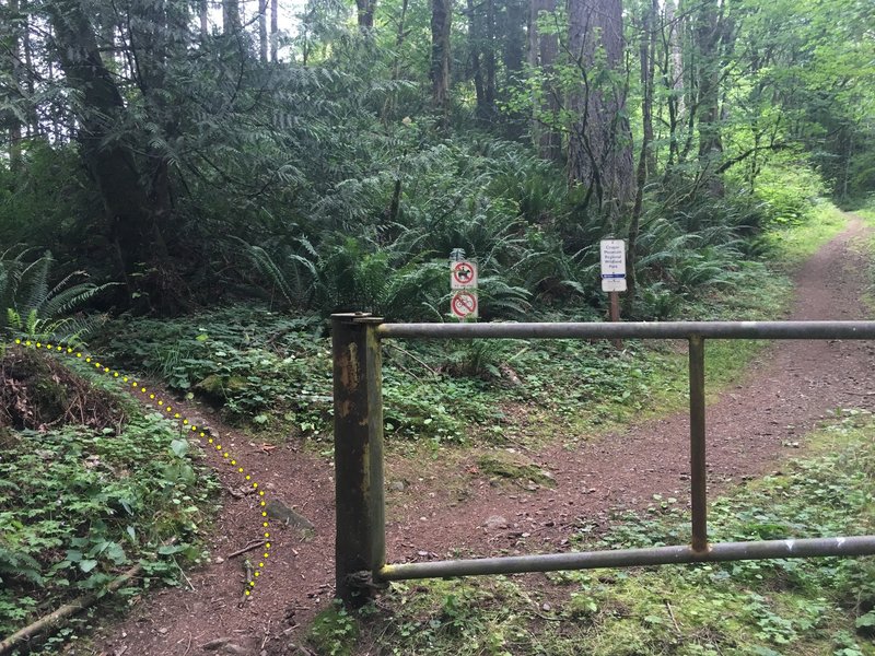 From the parking area, take the left fork to get to the crag