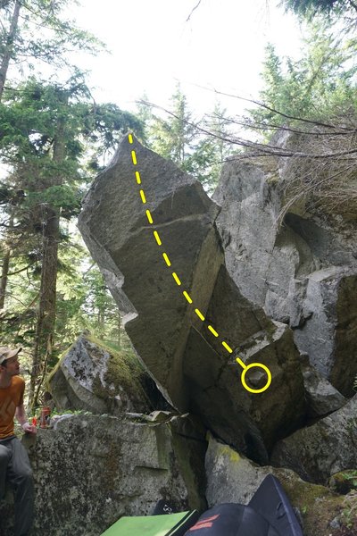 The Baby Fader (V4)