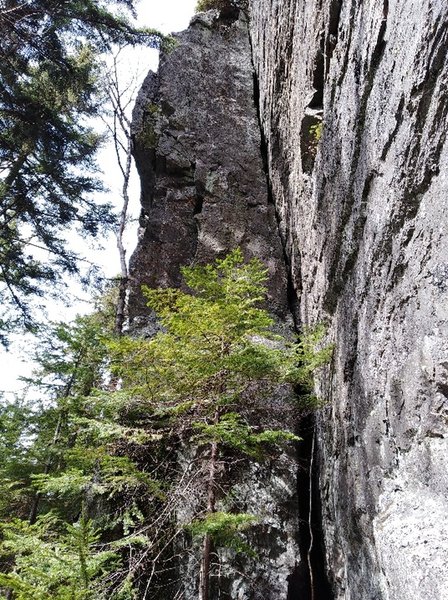 the facing view of "Crimson Thread"
