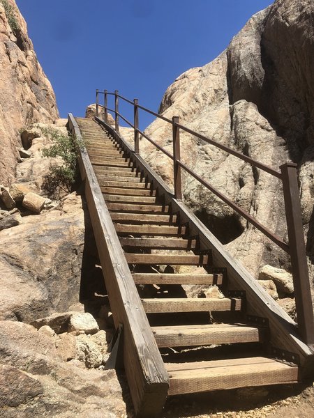 You know you're in Shady Grove when you've found this awesome set of stairs.