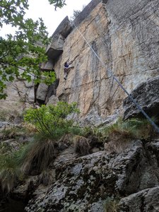 Ronda getting into the business on Il Maialone.