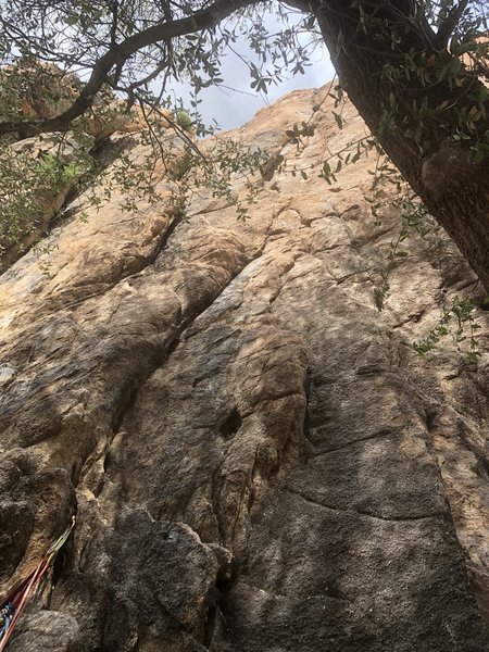 Looking up the route from the base of "yesterday"
