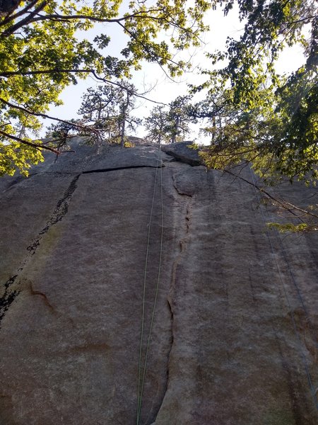 Zipper.
