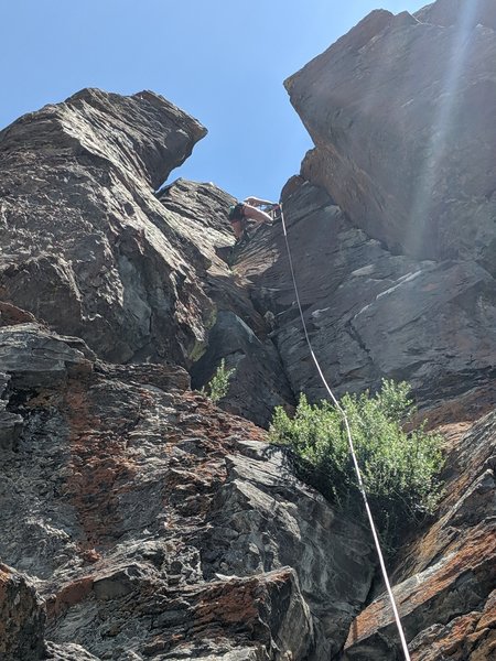 Looking up at the entire Seuss wall. What looks to be a tower to the left is The lorax. The crack separating the tower from the main face is "nknown off width" the crack on the face is "unknown crack" and the face is crescent moonwalk.
