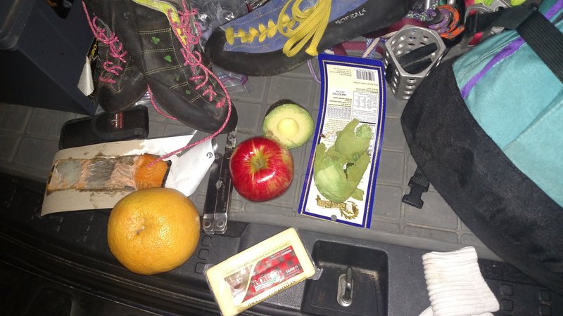4am Breakfast before the send. Salmon, avocado, grapefruit? Delicious