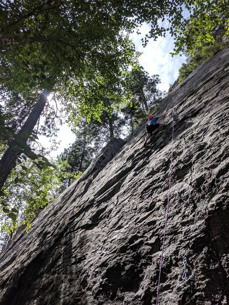 Daniel on Lichen