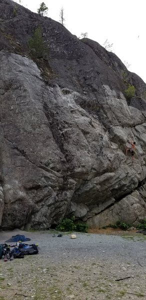 Climber on Credulous Hedgehog