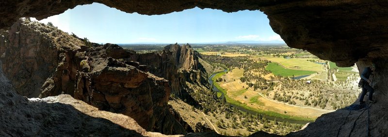 View from the Monkey's Mouth
