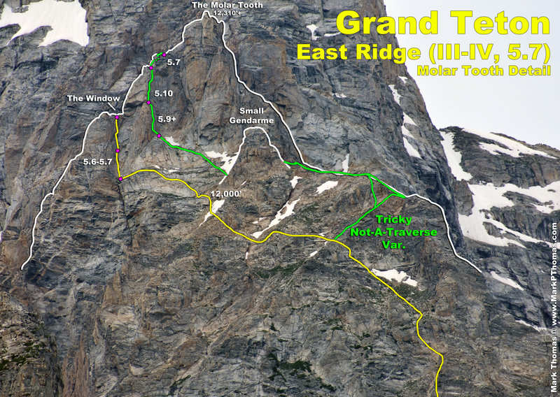 The East Ridge of the Grand Teton Molar Tooth area, with the standard variation shown in yellow. There is a bivy platform where the green line hits the far right edge of the ridge crest.
