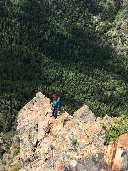 Top section of pitch 5