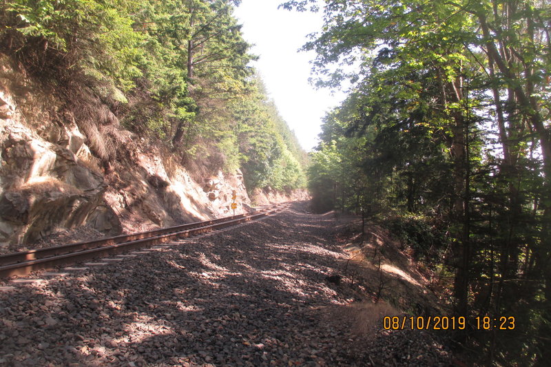 Gray Wall is 50 feet ahead and over the tracks