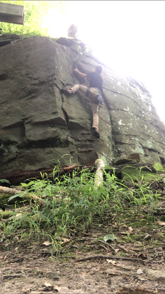 Once to the top, there is a wooden ladder to a platform that goes down